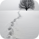 Footsteps Through Snow