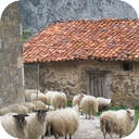 Basque Country Sheep Bells