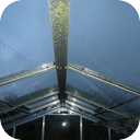 Raining On The Greenhouse Roof