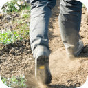 Footsteps Through Dirt