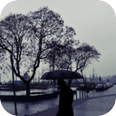 Budapest Rain