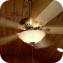 Ceiling Fan