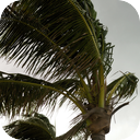Heavy Windstorm
