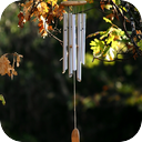 Wind Chimes