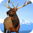 Elk