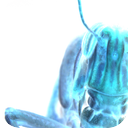 Alien Grasshoppers
