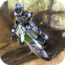 Pinewood Dirt Bikes