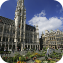 Flower Market In Brussels
