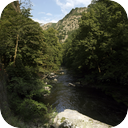 Harz Mountain Stream