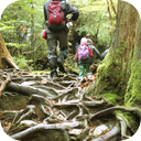 Hiking Through The Woods