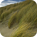 Long Island Wind Storm