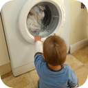 Wash Cycle