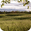 Windy Afternoon in the Country