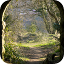 Small Town Tunnel