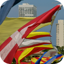 Flags Flapping in the Wind