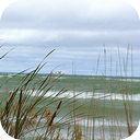 Lakeside Wind