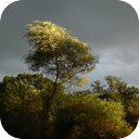 Thunderstorm In The French Countryside