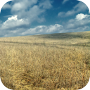 Wind On The Venezuelan Savanna