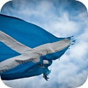 Flag Flapping in the Wind