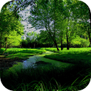 Chanhassen Swap Symphony