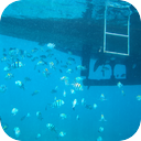 Below The Surface