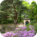 Changdeokgung Palace River