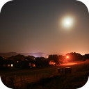 Summer Night Insect Chorus